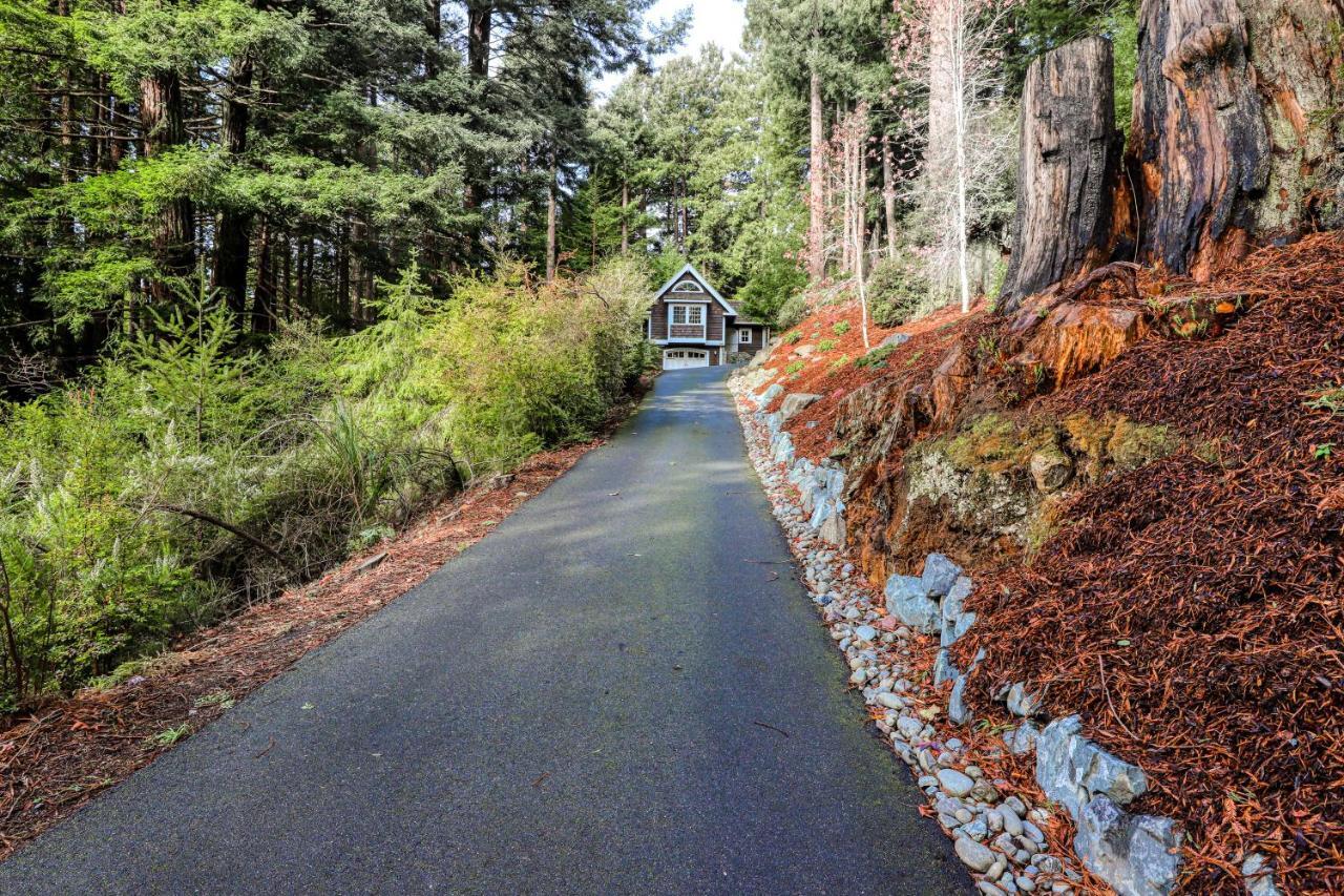 Serene Redwood Retreat Arcata Exterior photo